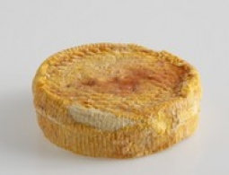 世界のチーズ - A Casinca